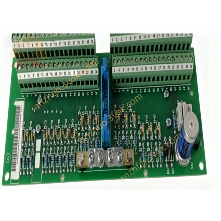SCYC55830(4 (1).jpg