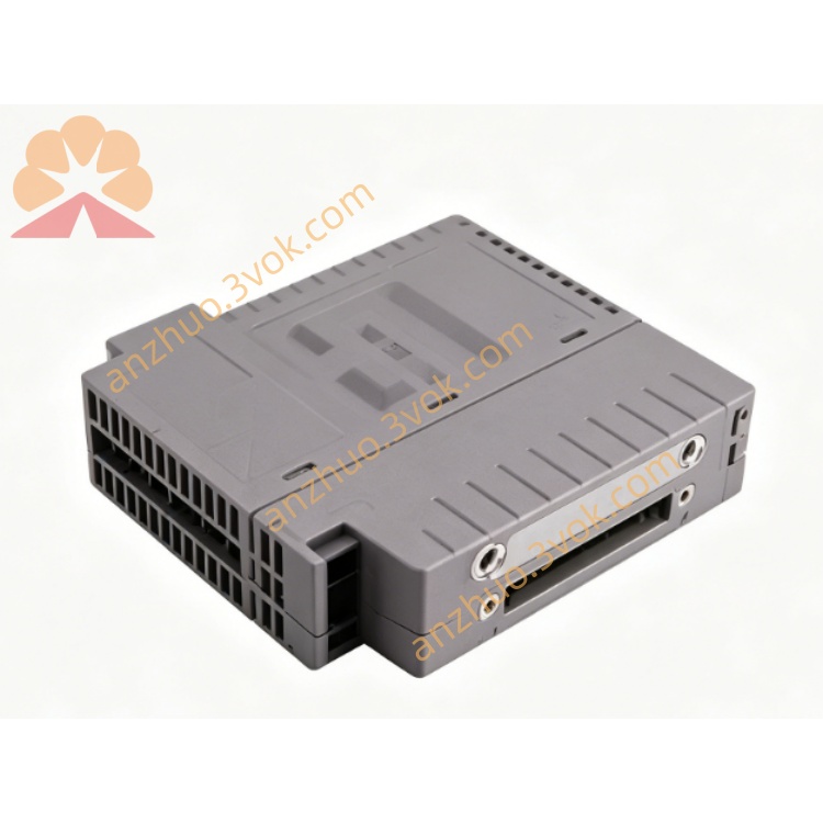 AAI543-S50(2.jpg