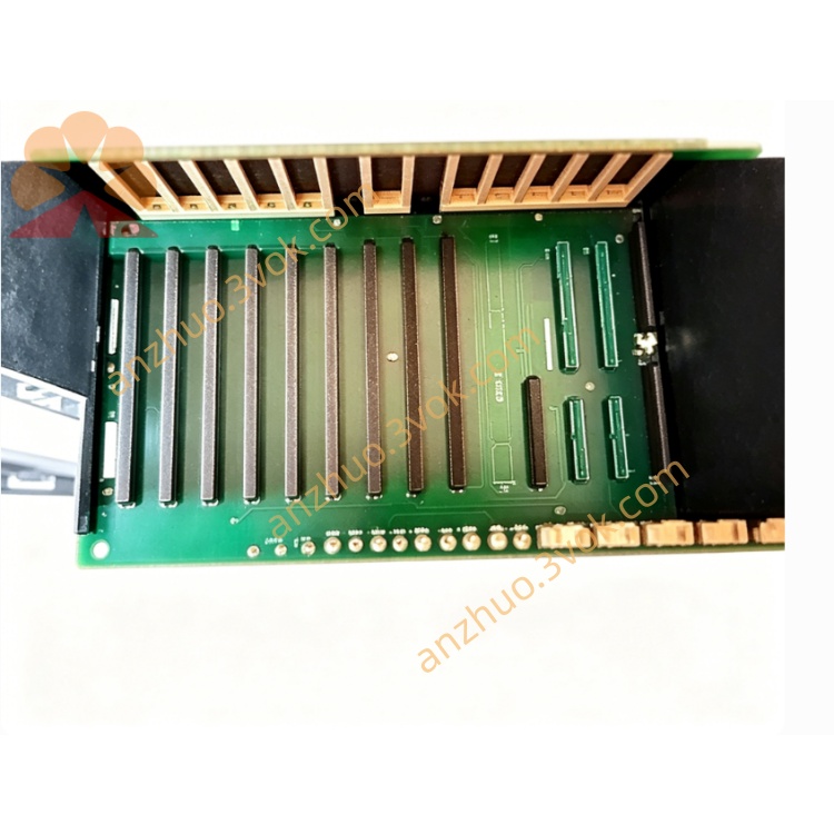 6203590(2.jpg