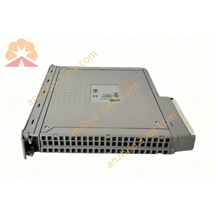 T8042(2.jpg
